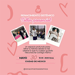 Taller Renacimiento Sistémico